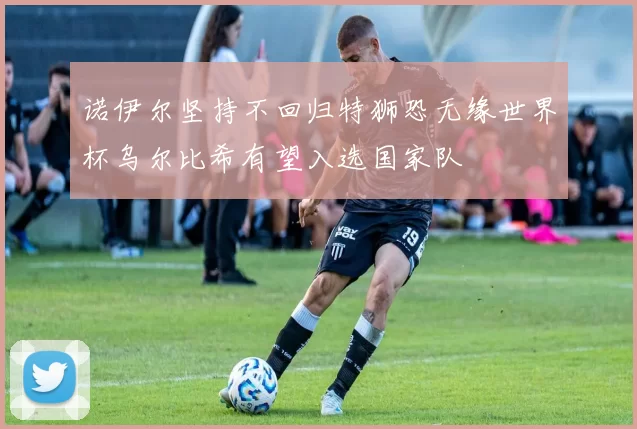 诺伊尔坚持不回归特狮恐无缘世界杯乌尔比希有望入选国家队
