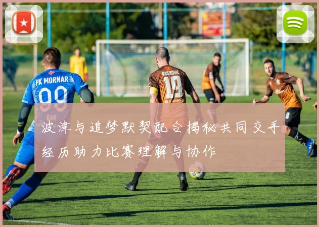 波津与追梦默契配合揭秘共同交手经历助力比赛理解与协作