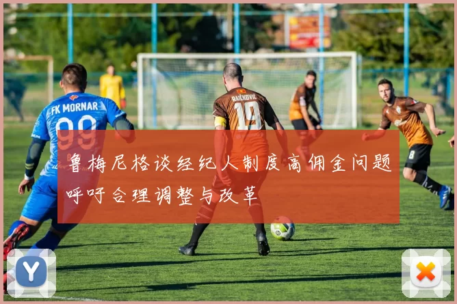 鲁梅尼格谈经纪人制度高佣金问题呼吁合理调整与改革